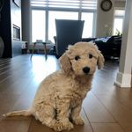 Martha - @martha_march_ - Instagram