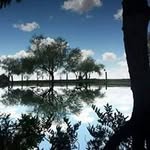 Martha Mariscal - @marthamariscal1958 - Instagram