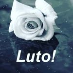 Martha marques - @marthaayalla123 - Instagram