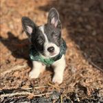 Martha Masters - @martha.e.masters - Instagram