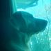 Martha Mathers - Facebook