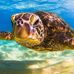Martha Mayfield-Hoyns - Facebook