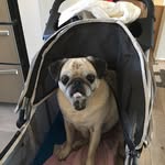 Martha McCarthy - @martha.mccarthy.399 - Instagram