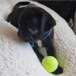 Martha McCarthy - @marthabeauxm - Instagram