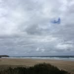 martha mccartney - @mccartneymartha - Instagram