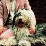 @martha_mccartney_doggo - Instagram