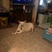 Martha McElfresh - Facebook