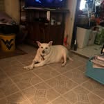 Martha McElfresh - @mcelfresh_martha - Instagram