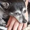 Martha Meadepacko - @martha.meadepacko - TikTok