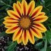 Martha Meyer - Facebook