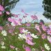 Martha Meyer - Facebook