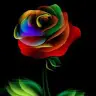 Martha Mier - @marthamier8419 - TikTok