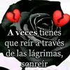 Martha V Mier - @martha.v.mier - TikTok