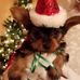 Martha Monahan - Facebook