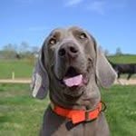 Martha Mooney - @farmlivin59 - Instagram