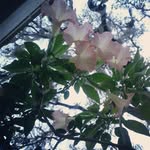 Martha Morfin - @martha.morfin - Instagram