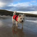 Martha Morrell - @martha.morrell.1297 - Instagram