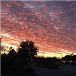 Martha Morrell - @jeniffer_carlos562 - Instagram