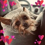 Martha Morrell Hebert - @mbert62 - Instagram