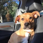 Martha Morrill - @morrillmartha - Instagram