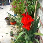 Martha Mosca - Facebook