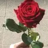 user8070681881433 - @marthamotta1 - TikTok