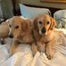 Martha Mulligan - Facebook