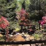 Martha Murphree - Facebook