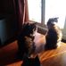 Marta Nagle - Facebook
