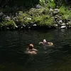 martha - @martha.newland - TikTok
