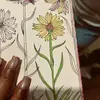 Martha Noboa - @marthao_ - TikTok