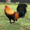 Noe Martha - @noemartha670 - TikTok