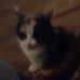 Martha Null - Facebook
