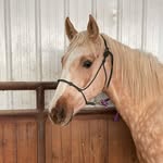 Martha Allen - @martha_annie_oakley - Instagram