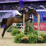 Martha Oakley🇬🇧 - @marthaoshowjumping - Instagram