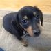 Martha Oakley - Facebook
