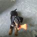 Martha Oakley - Facebook