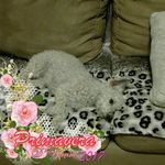 martha Alicia Ocegueda Moreno - @marthaaliciaocegueda - Instagram