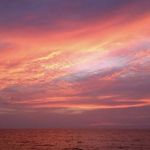 Martha Diudonne Pinto Ocegueda - @diudonne.oc - Instagram