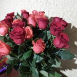 Martha Ocegueda Reyes - @martha_oreyes - Instagram