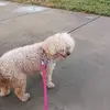 Martha Olivarez - @martha.hernandez0270 - TikTok