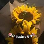 Martha Cecilia Ovando - @marthaceciliaovando - Instagram