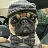 Martha Ovando - @martha.ovando6 - TikTok