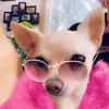 Martha Parker783 - @marthaparker783 - TikTok