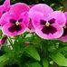 Martha Palacio - Facebook