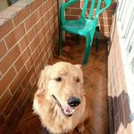 Martha Parga - @parga.martha - Instagram