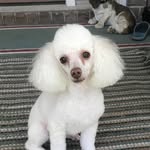 Martha Penny - @mapenny10 - Instagram