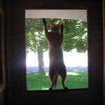 Martha Penny - @martha.penny - Instagram