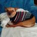 Martha Pfaff - Facebook
