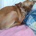 Martha Pfaff - Facebook